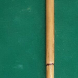 Canne à système de chirurgien