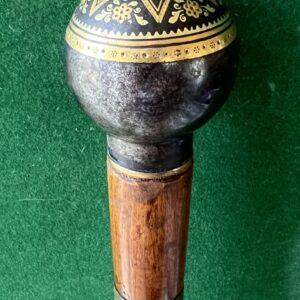 Canne à système de défense