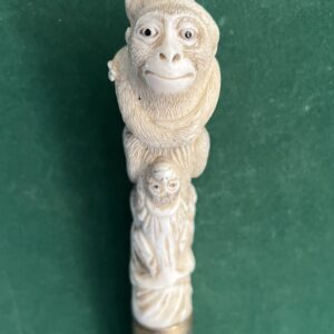 Canne d’art animalière en Endoullet