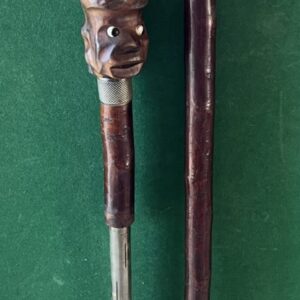 Canne à système de défense