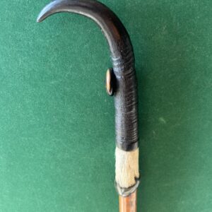 Canne de montagne 250