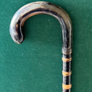 Canne de marche 290€