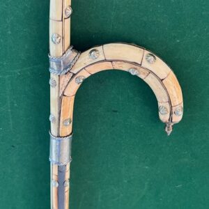 Canne à système de défense