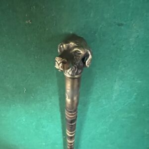 Canne à système de défense