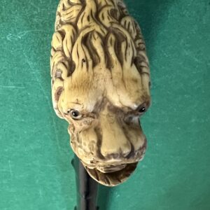 Canne animalière avec cites