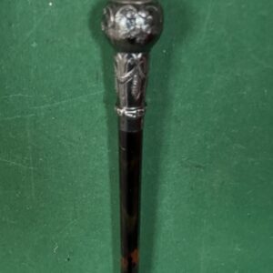 Canne en écaille massive