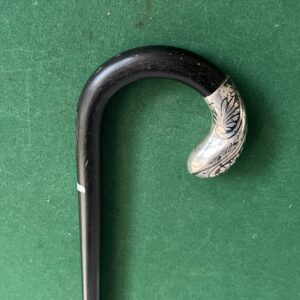 Canne de marche 290€