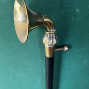 Canne sonotone 690€